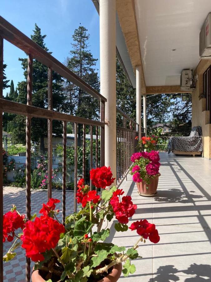 Mechta Guest House 桑德雷什 外观 照片